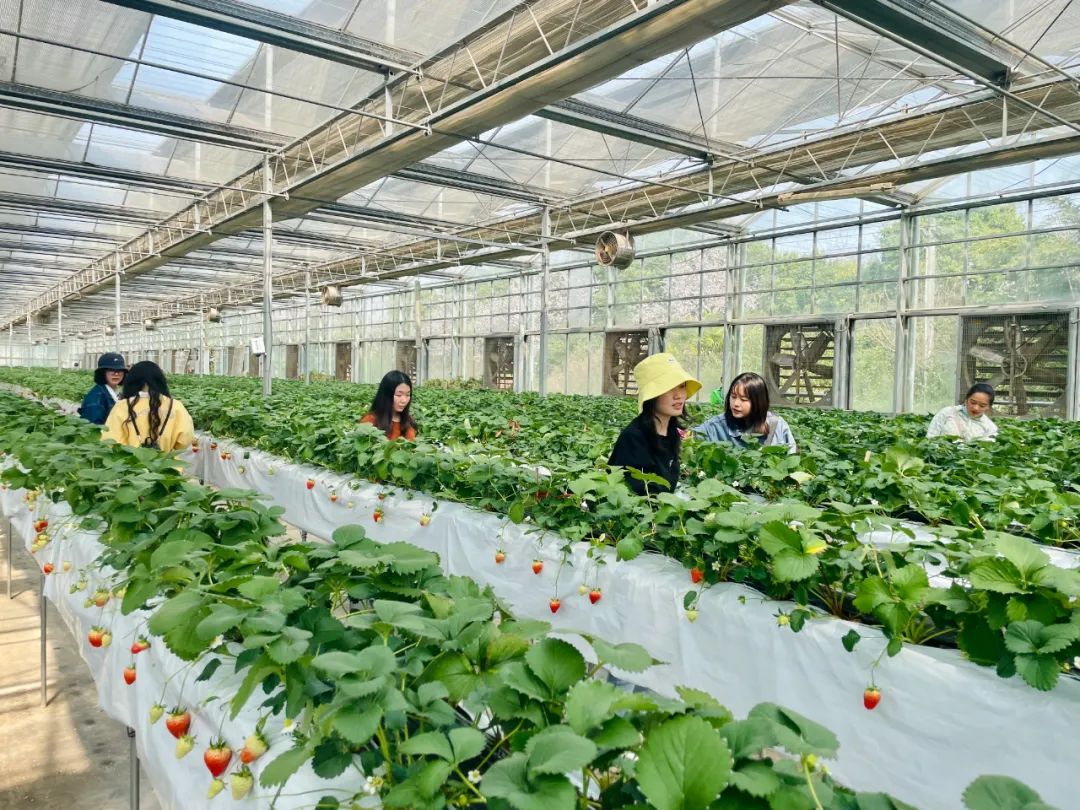 【婦女節(jié)】走進(jìn)自然，遇見“莓”好